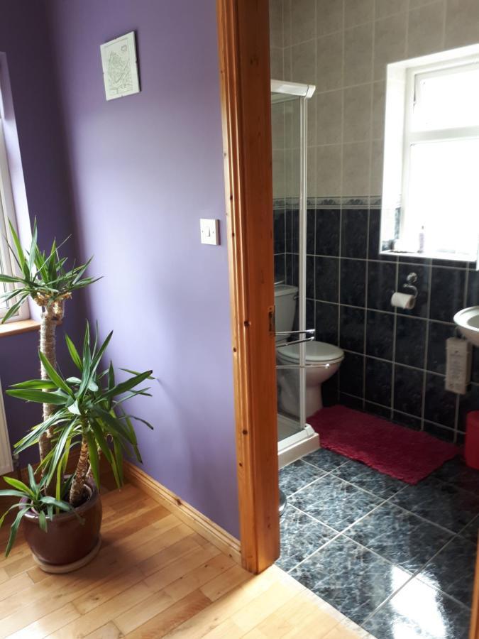 Tullaleagan Guesthouse Oughterard Zewnętrze zdjęcie